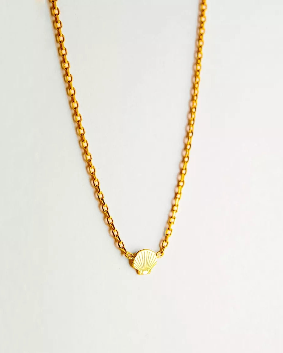 Eine Halskette von Adorabili, eine Goldkette mit einem kleinen, 24K vergoldeten Muschelanhänger von Adorabili, wird auf einem schlichten weißen Hintergrund gezeigt.