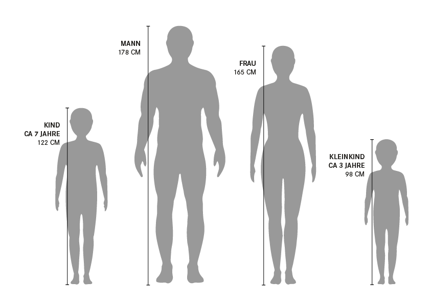 Main Design