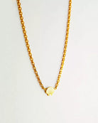 Eine Halskette von Adorabili, eine Goldkette mit einem kleinen, 24K vergoldeten Muschelanhänger von Adorabili, wird auf einem schlichten weißen Hintergrund gezeigt.